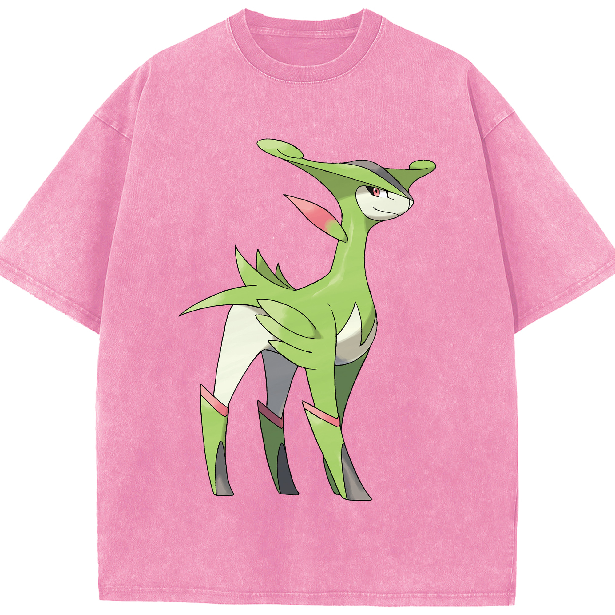 （画像用） ポケットモンスター Pokémon 綿100% ヴィンテージ風 半袖Tシャツ（フロントプリント）
